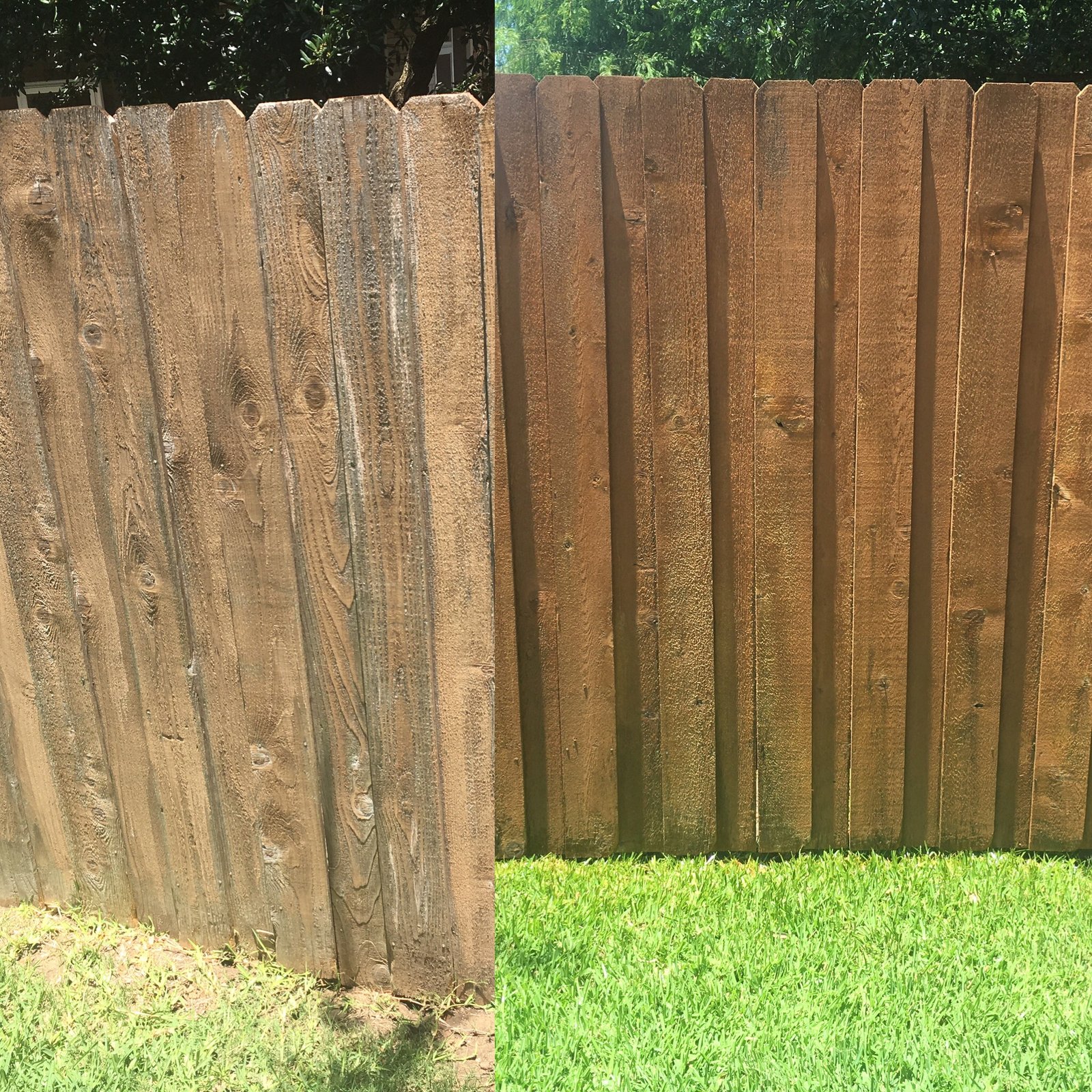 restain your fence. fence stain